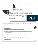 Eular Us Course Modulo 3 Cotovelo