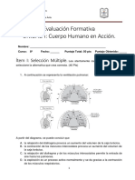 Evaluacion Formativa 8°a 8°b Biologia