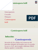 CYSTOISOSPOROSIS