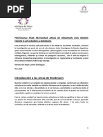 Protocolo para Activar Las Areas de Brodman Mariana Del Hoyo PDF