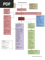 Pathophysiology Precipitating Factors: Predisposing Factors