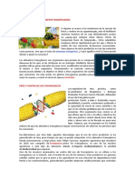 Guia 2 Alimentos Transgenicos PDF