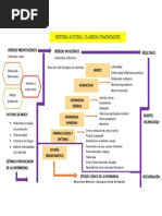 Historia Natural de La Clamidia