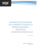 Diagnóstico Situacional de La Minería Tucari de La Empresa Aruntani