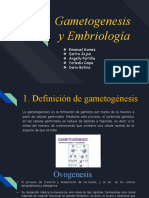 Gametogenesis y Embriologia