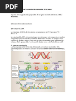 Tarea 5