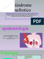 Sindrome Nefrotico - 2