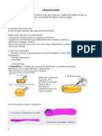 2 - Hemodinamia - Ecografía Doppler.