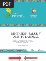 Presentación Dimension Salud Y Ambito Laboral Febrero 2020