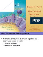 Nervous System