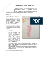 Sistema - Reproductor