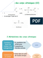 5-Corps Cétoniques