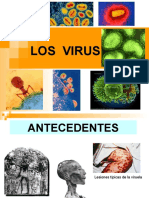 Virus 10 Grado 2quimestre