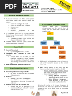 Autonomic Nervous System