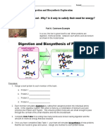 15 Digestion Biosynthesis Exploration