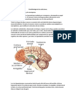 Psicofisiología de Las Adicciones