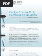 CPCCN Prueba de Peritos