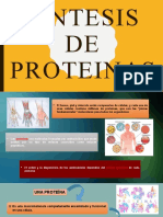 Sintesis de Proteinas