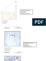 pc3 Resuelto Parasito