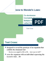 Exceptions To Mendel's Laws:: Co-Dominance Incomplete Dominance Multiple Alleles Lethal Genes