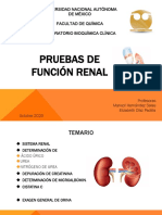 Pruebas Función Renal