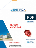 06-Tejido Muscular 2020-I