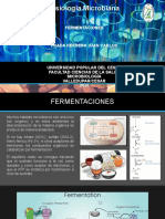 Fermentaciones 1