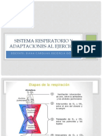 Sistema Respiratorio y Adaptaciones Al Ejercicio PDF