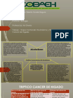 Biologia Mapa Mental y Triptico