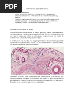 Actividad de Integración 1 Histologia