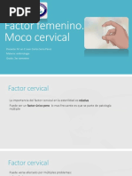 Moco Cervical