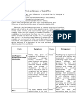 Pests and Diseases of Upland Rice