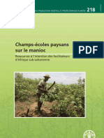 Champ École Paysan Manioc