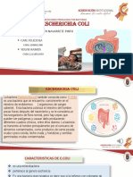 Escherichia Coli