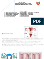 Papanicolaou y Toma de Muestra DIRIS LS - Odp