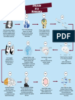 Linea de Tiempo PDF