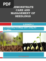 Demonstrate Care and Management of Seedlings: Lesson 3