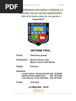 Kushuros, Informe Final, Sarita Moreno PDF