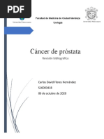 Revision Bibliografica de Cancer de Prostata