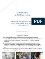 PNI - SEPARATA 1. MIPYMES en El Perú