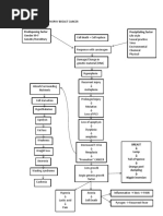 Predisposing Factor Precipitating Factor