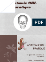 Anatomie ORL Pratique