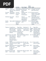 Muscle Origin Insertion Nerve Supply Nerve Rootsa Action 8 T1