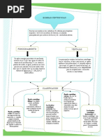 Mapa Conceptual Bombas Centrifugas