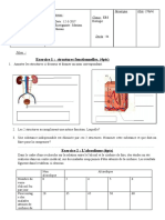 Eb6 Bio Peau-Reins - Drogue