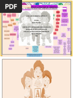 Actividad 1 - El Proceso Básico Del Aprendizaje Humano