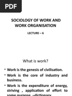 Lec 6 Sociology of Work and WO