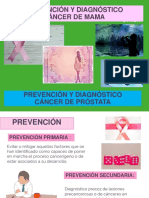 20191001-C69-Prevencion Del Cancer de Mama PDF