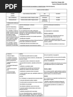 Plan de Trabajo Anais Vidal