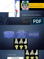 Biomecanica de La Rodilla Expo